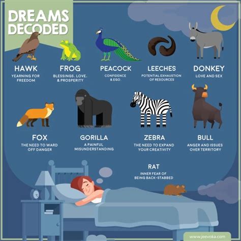 Decoding the Symbolism of Black Animals in Dreams