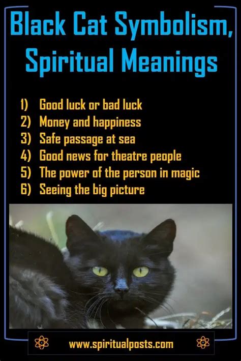 Decoding the Symbolism of the Ebony Feline