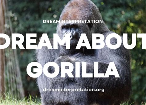 Decoding the Veiled Significance in Gorilla Reveries