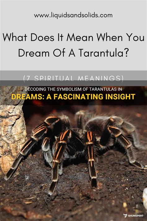 Decoding the messages: Understanding the Symbolism of Brown Tarantulas in Dreams