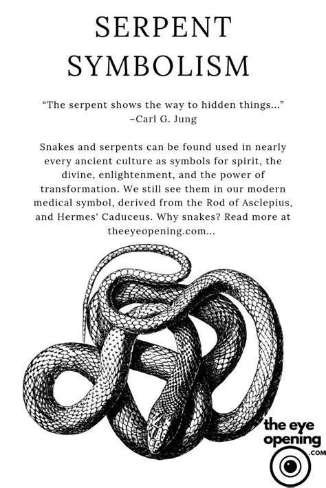 Deconstructing the Symbolic Connection: Snakes and the Alchemy of Transformation