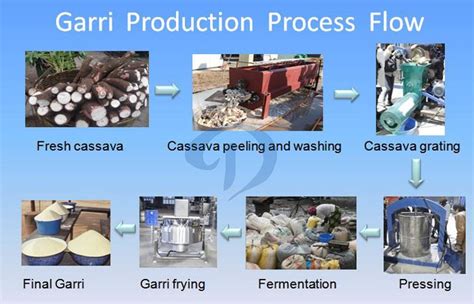 Delve into the Production Process of Garri: A Journey from Cassava Roots to Fine Powdery Granules