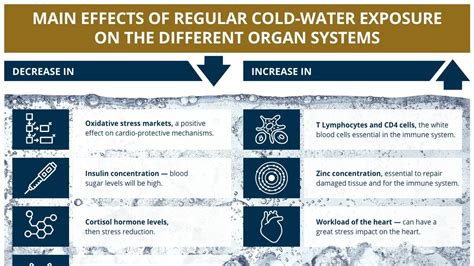 Delving into the Advantages and Dangers of Cold Water Immersion