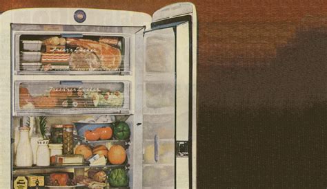 Delving into the Significance of an Vacant Fridge Vision