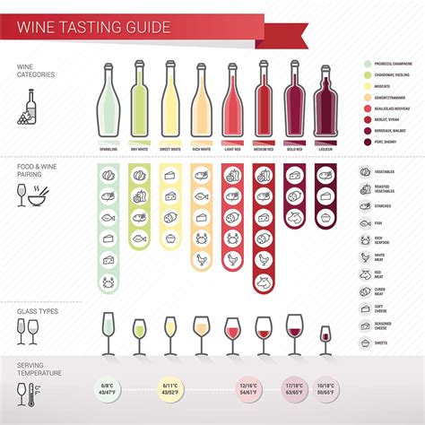 Demystifying the Art of Wine Tasting