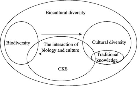 Depictions of Avian Combustion: Cultural Connotations and Significance