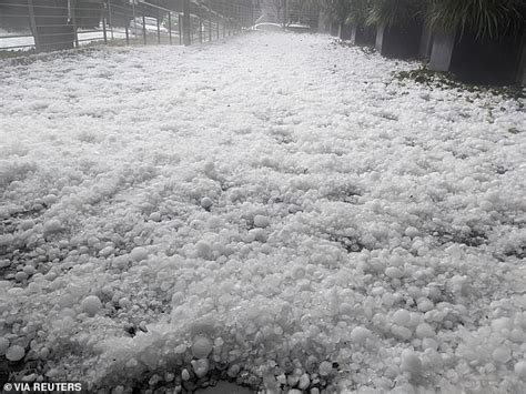 Destructive Force: Examining the Devastating Effects of Enormous Hailstones on the Environment