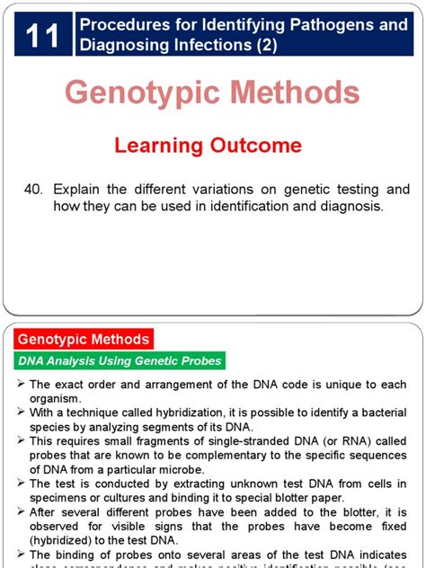 Diagnosing Infections: Identifying Symptoms and Evaluating Causes