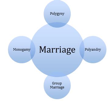 Different Forms of Mistreatment within the Marital Union