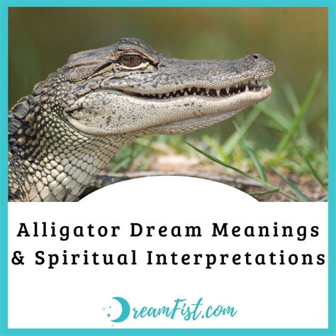 Different Interpretations of Dreams about Alligators