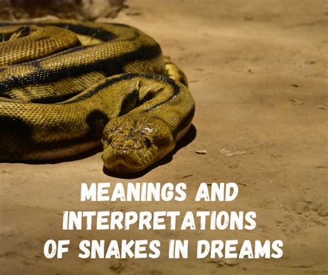 Different Symbols in Dreams: Big Snakes and Small Snakes