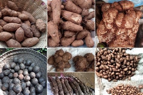 Different Varieties of Yam: Which One is Best for Frying?