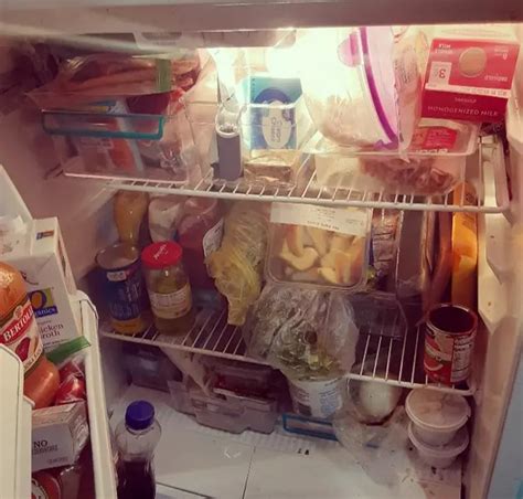 Dirty Fridge: A Nightmarish Reality?