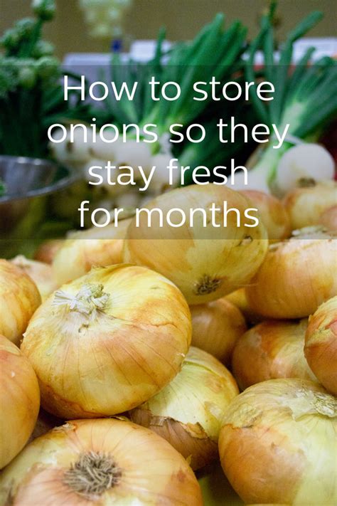 Discover Smart Hints and Strategies for Handling and Storing Onions