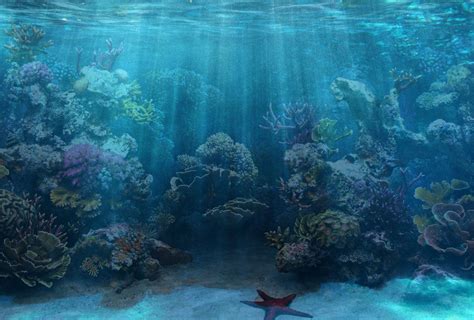 Discover Tranquility in the Calm Environment of Aquariums