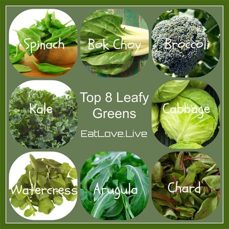 Discover the Amazing World of Nutritious Leafy Vegetables