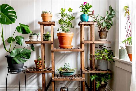 Discover the Art of Indoor Gardening: Bring Nature Inside