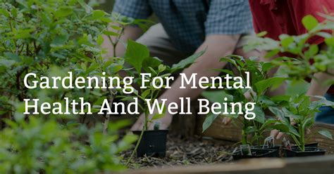 Discover the Benefits of Gardening for Your Mental Well-being