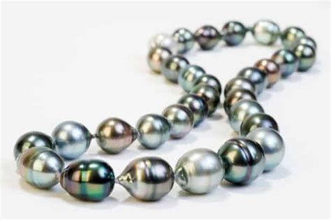 Discover the Diversity: From Freshwater to Tahitian Pearls