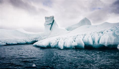 Discover the Enchanting Magnificence of the Polar Regions and Connect with the Wonders of Nature