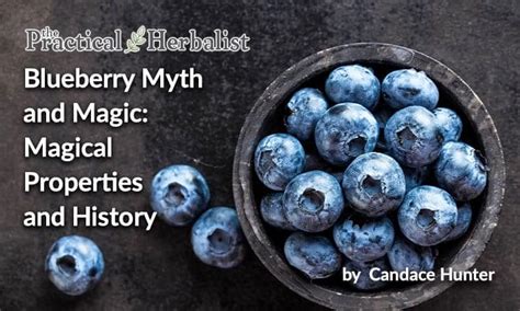 Discover the Enchanting Myths and Legends surrounding Blueberries