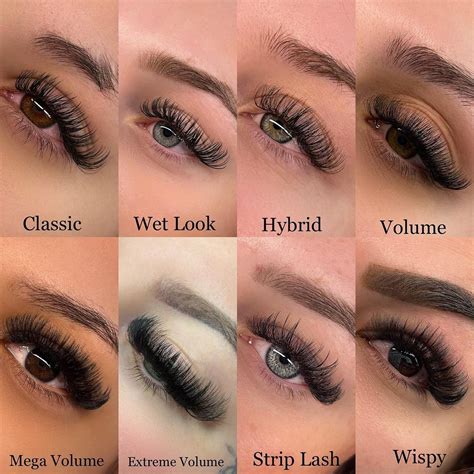 Discover the Enchanting Realm of Lashes