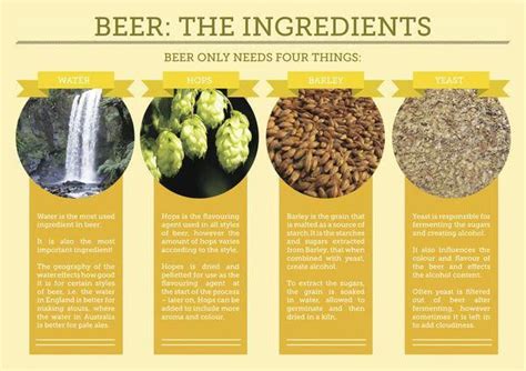 Discover the Essential Ingredients that Craft Traditional Beer