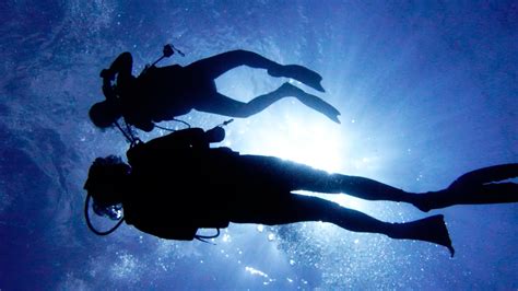 Discover the Fundamentals of Scuba Diving and Snorkeling