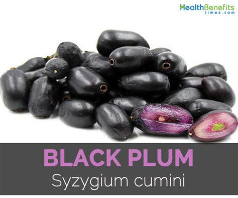 Discover the Health Benefits and Nutritional Value of Tempting Black Plum