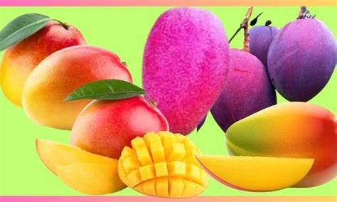 Discover the Nutritional Benefits of Irresistible Mangoes