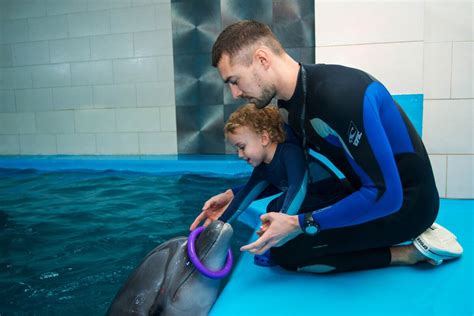 Discover the Soothing Effect of Dolphin Therapy