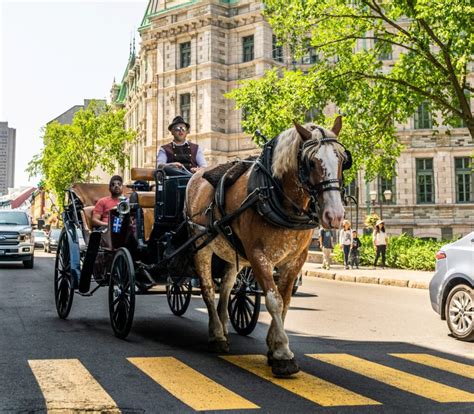 Discover the Top Destinations for Captivating Carriage Experiences