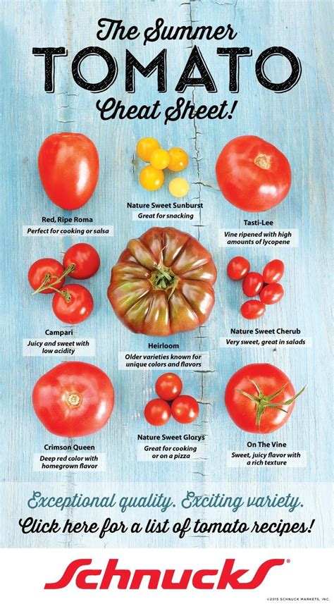 Discover the Variety of Fresh Tomatoes and Their Benefits