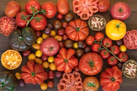 Discover the Various Varieties of Tomatoes