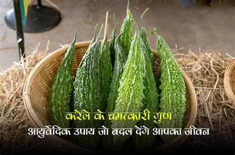 Discover the Wonders of Bitter Gourd for Your Health