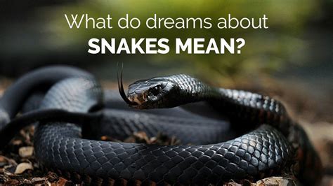 Discovering Inner Strength: The Message Behind Dreams Involving a Enormous Serpent