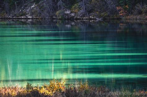 Discovering the Calm and Beauty of Emerald Pond