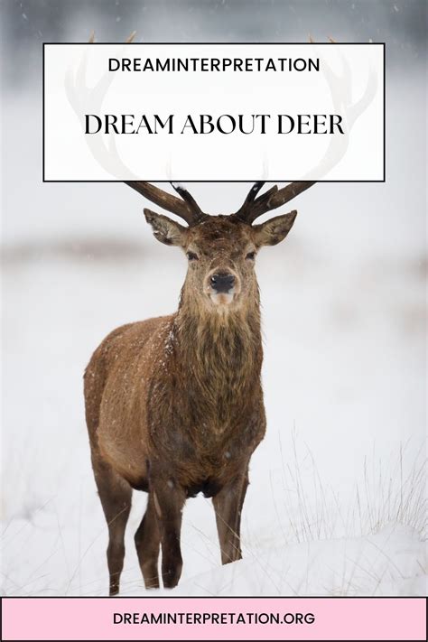 Discovering the Cultural Importance of Deer in Interpreting Dreams