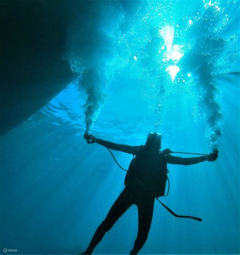 Discovering the Depths: The Thrill of Scuba Diving