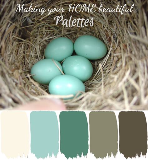 Discovering the Enchanting Shades of Duck Egg