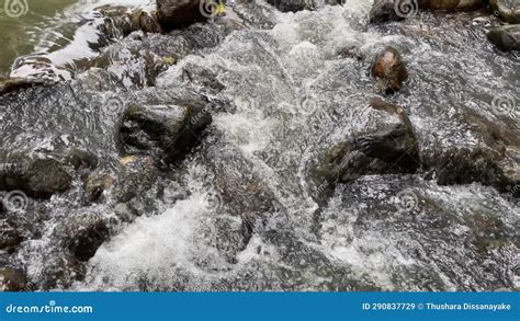 Discovering the Enchantment of Pristine Stream H2O