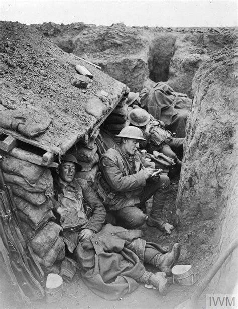 Discovering the Extremes: Life in Deep Trenches