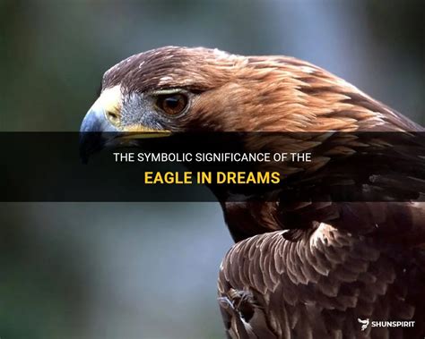 Discovering the Meaning and Significance of Spotting an Eagle in Your Dream