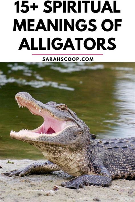 Discovering the Profound Significance of Alligators in Dreams