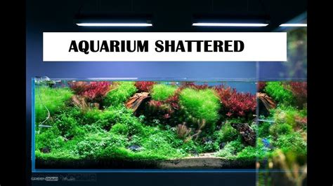 Discovering the Profound Significance of the Shattered Aquarium Vision