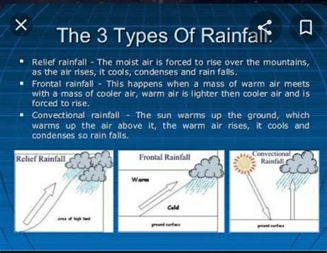 Discovering the Various Categories of Rain Dream Experiences