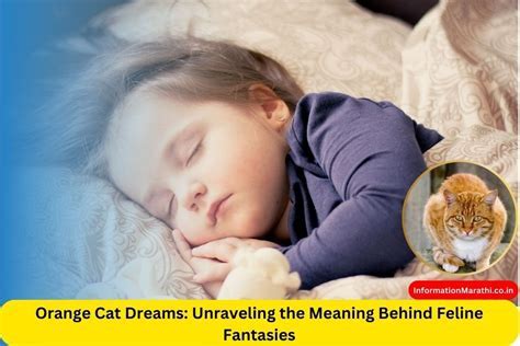 Dive Into the Symbolism: Understanding the Significance of Dreaming About a Young Feline