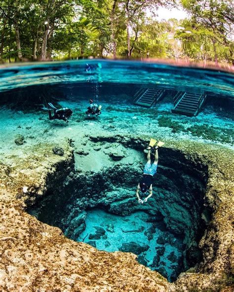 Dive into a World of Crystal Clear Springs