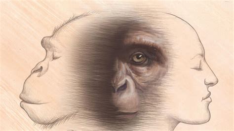 Dive into the Primal Mind: Exploring Our Ape Ancestry