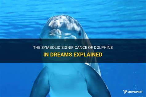 Dive into the Profound Significance of Dolphin Dreams